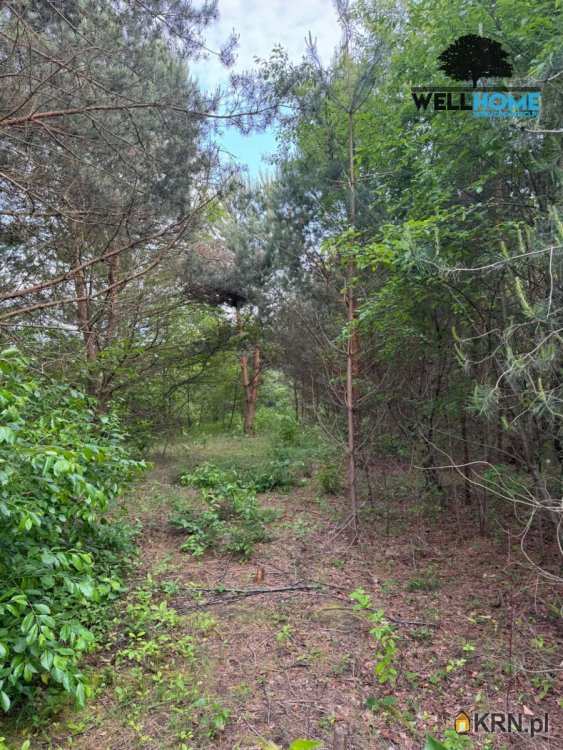 Wellhouse Nieruchomości, Działki  na sprzedaż, Sokolniki-Las, ul. 