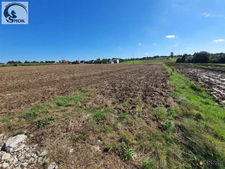 Działki  na sprzedaż, Cianowice Duże, ul. , 