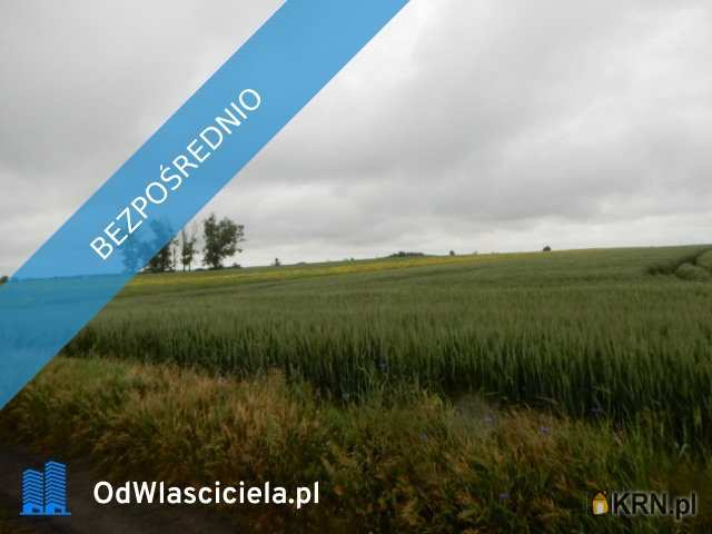 Oborzany, ul. , , Działki  na sprzedaż