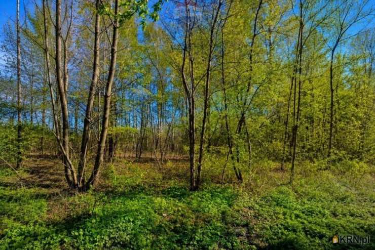 Działki  na sprzedaż, Grabów nad Pilicą, ul. , 