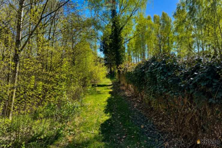 RE/MAX Polska, Działki  na sprzedaż, Grabów nad Pilicą, ul. 