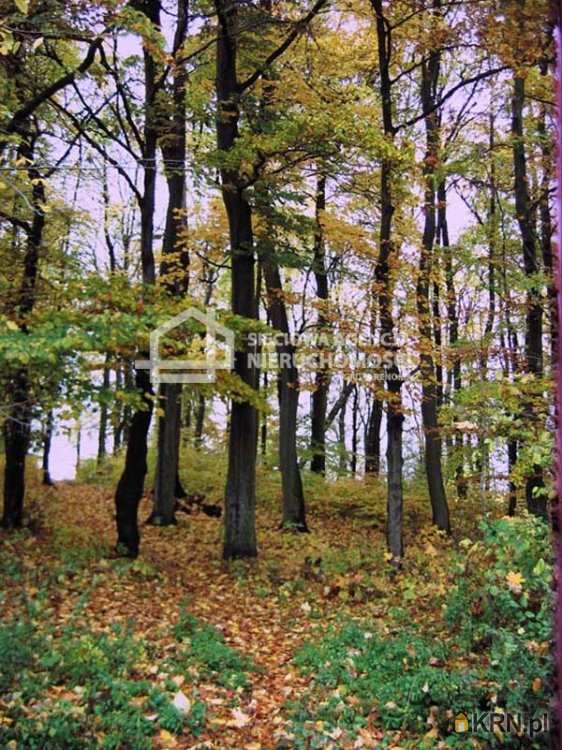 Lublewo Gdańskie, ul. , , Działki  na sprzedaż