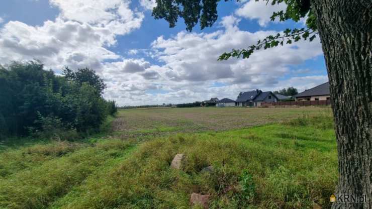 Działki  na sprzedaż, Pszczółki, ul. Polna, 