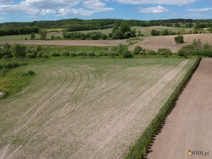 Działki  na sprzedaż, , Weklice, ul. 