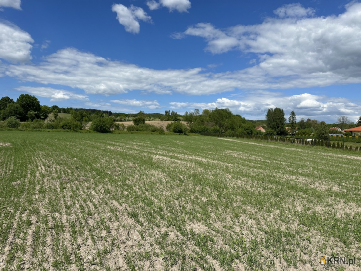 Szulc & Szulc Nieruchomośc, Działki  na sprzedaż, Weklice, ul. 