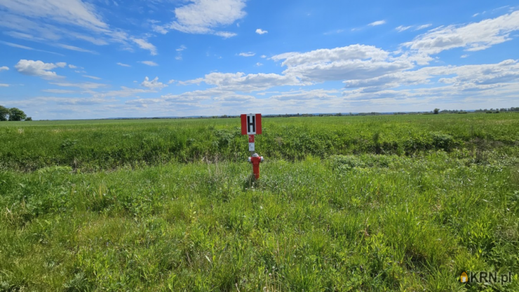 Weklice, ul. , Działki  na sprzedaż, 