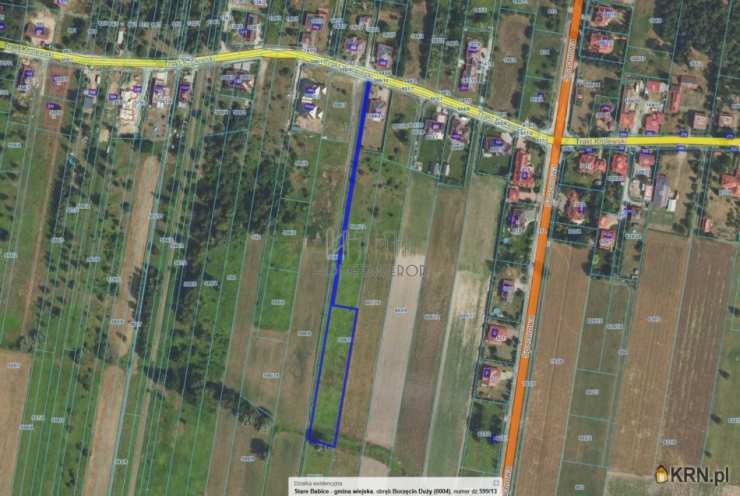 Borzęcin Duży, ul. Trakt Królewski, , Działki  na sprzedaż