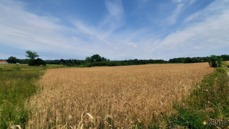 Szulc & Szulc Nieruchomośc, Działki  na sprzedaż, Łączno, ul. 