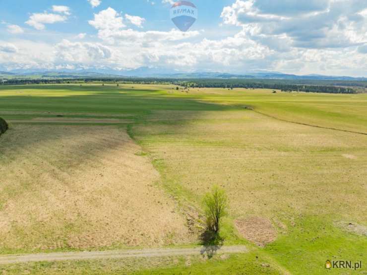Nowy Targ, ul. , , Działki  na sprzedaż