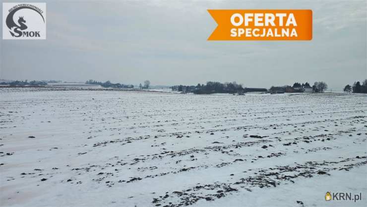 Działki  na sprzedaż, Wronin, ul. , 