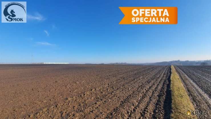 Działki  na sprzedaż, Wronin, ul. , 