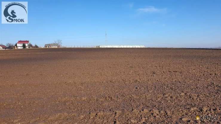 Wronin, ul. , Działki  na sprzedaż, 