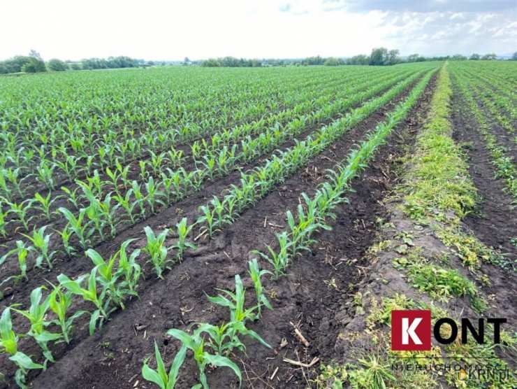 , Kraków, Nowa Huta, ul. , Działki  na sprzedaż