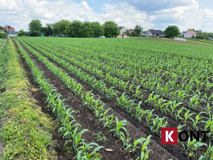 KONT s.c. Centrum Nieruchomości, Działki  na sprzedaż, Kraków, Nowa Huta, ul. 