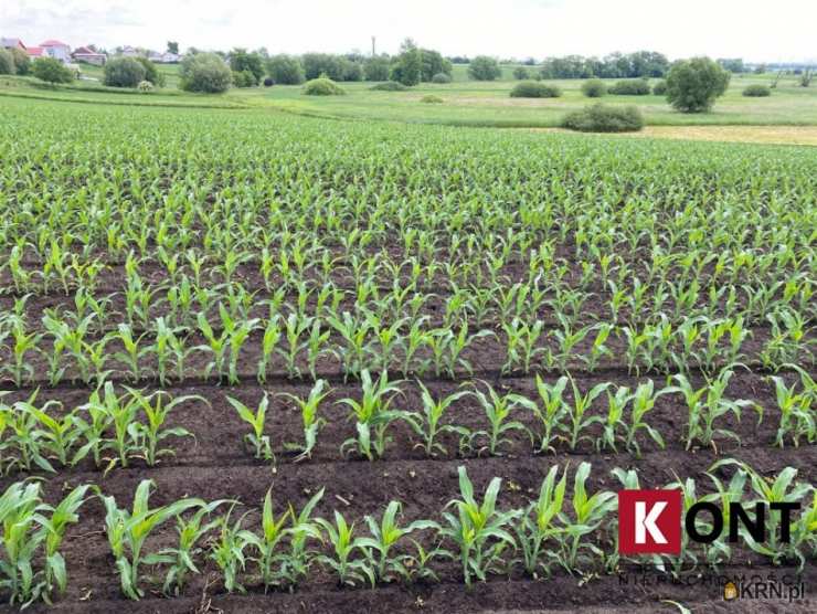 Działki  na sprzedaż, Kraków, Nowa Huta, ul. , 