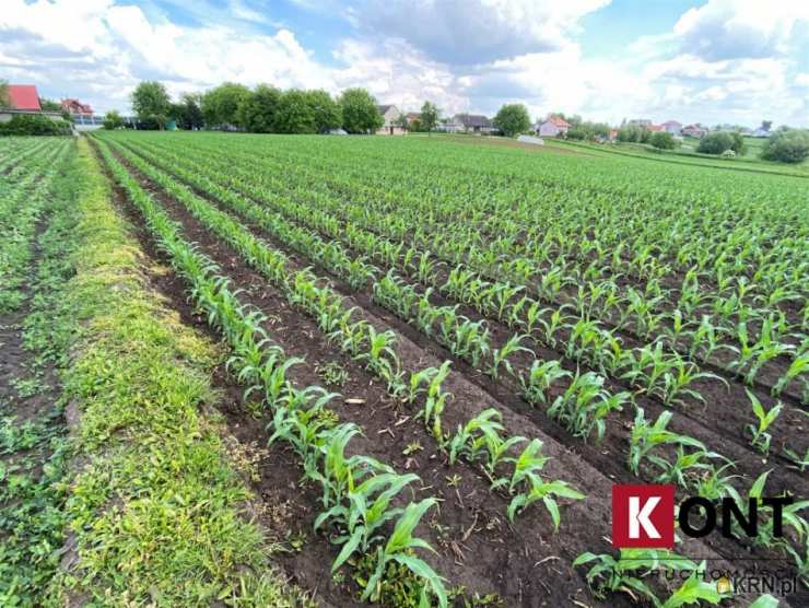 Kraków, Nowa Huta, ul. , Działki  na sprzedaż, 