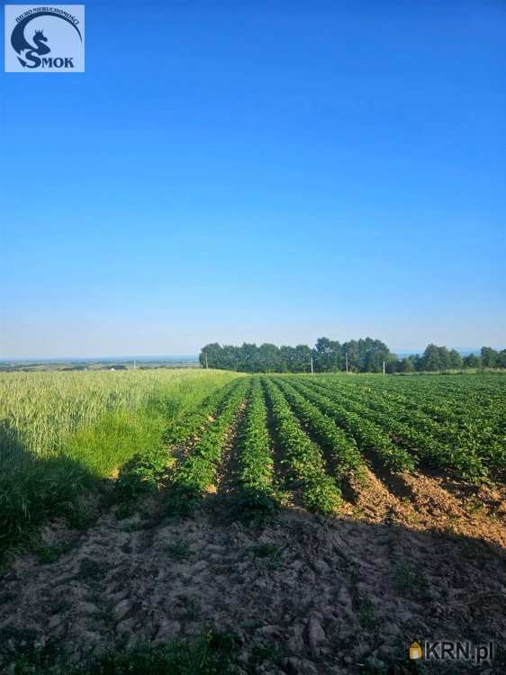 Działki  na sprzedaż, , Kocmyrzów, ul. 