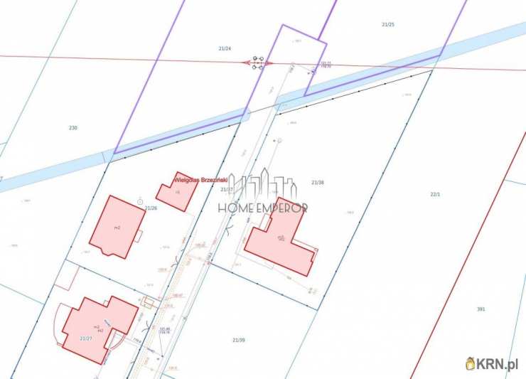 Wielgolas Brzeziński, ul. Niezapominajki, Działki  na sprzedaż, 