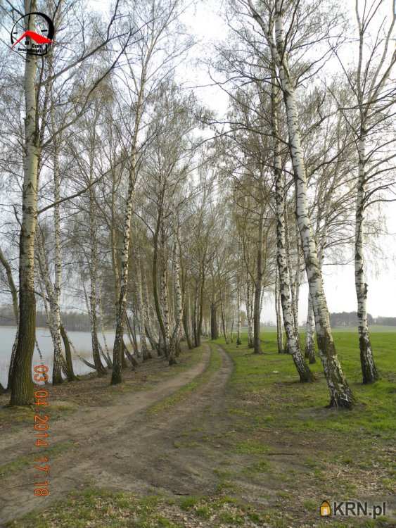 Działki  na sprzedaż, Głodowo, ul. , 