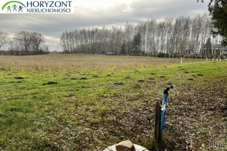 Działki  na sprzedaż, Lisewiec, ul. , 