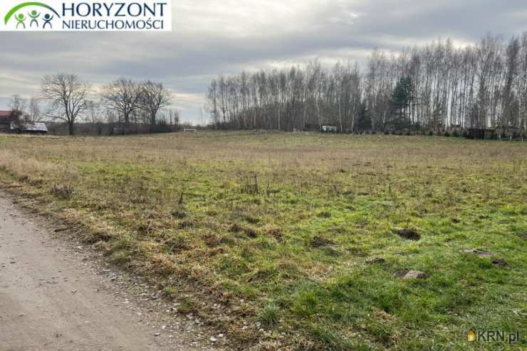 Działki  na sprzedaż, Lisewiec, ul. , 