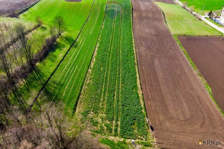 RE/MAX Polska, Działki  na sprzedaż, Sierosławice, ul. 