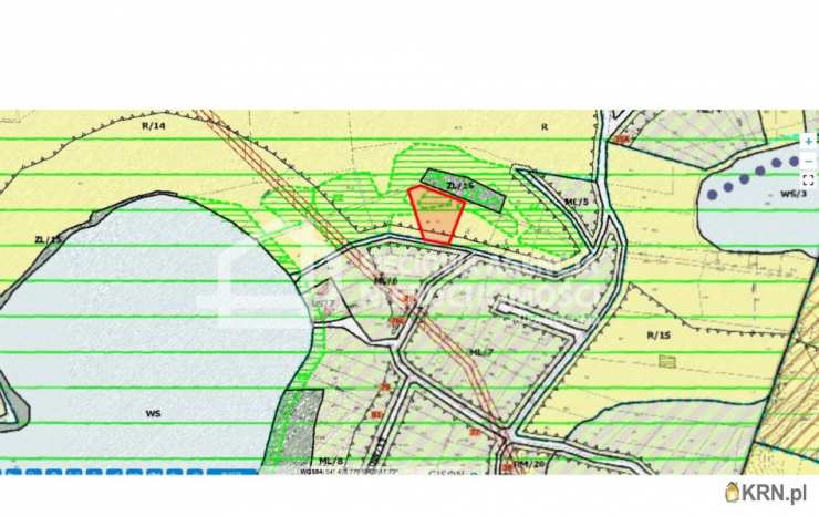 Działki  na sprzedaż, , Wielki Podleś, ul. 