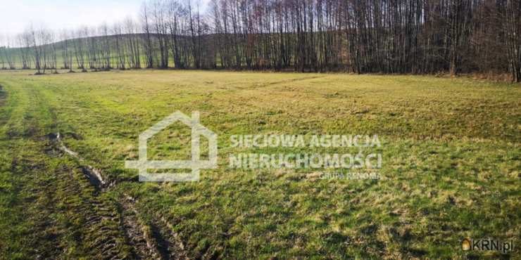 , Działki  na sprzedaż, Wielki Podleś, ul. 