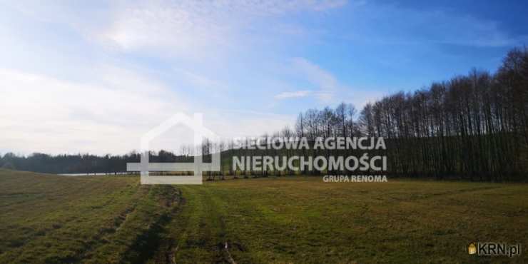 Sieciowa Agencja Nieruchomości Grupa Renoma, Działki  na sprzedaż, Wielki Podleś, ul. 