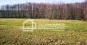 Działki na sprzedaż, Wielki Podleś