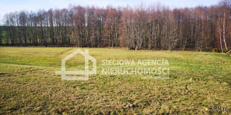 Działki  na sprzedaż, , Wielki Podleś, ul. 