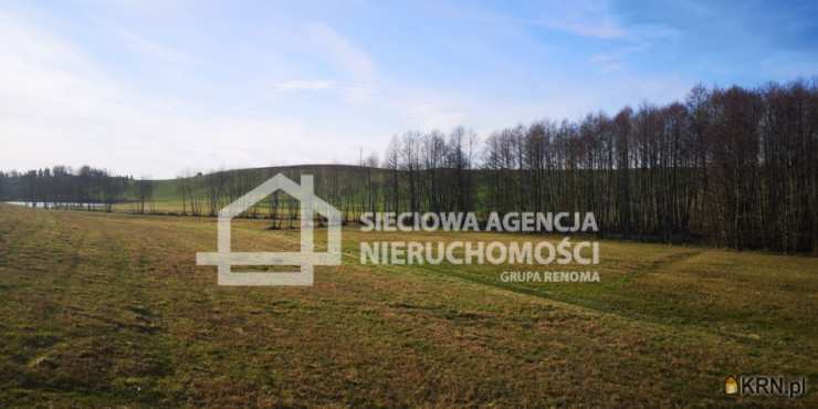 Wielki Podleś, ul. , Działki  na sprzedaż, 