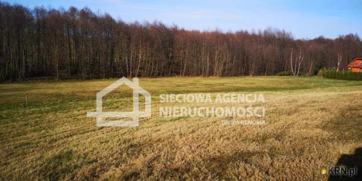 , Działki  na sprzedaż, Wielki Podleś, ul. 