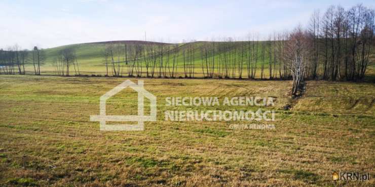 Działki  na sprzedaż, Wielki Podleś, ul. , 