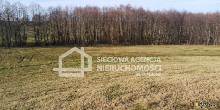 Działki  na sprzedaż, , Wielki Podleś, ul. 