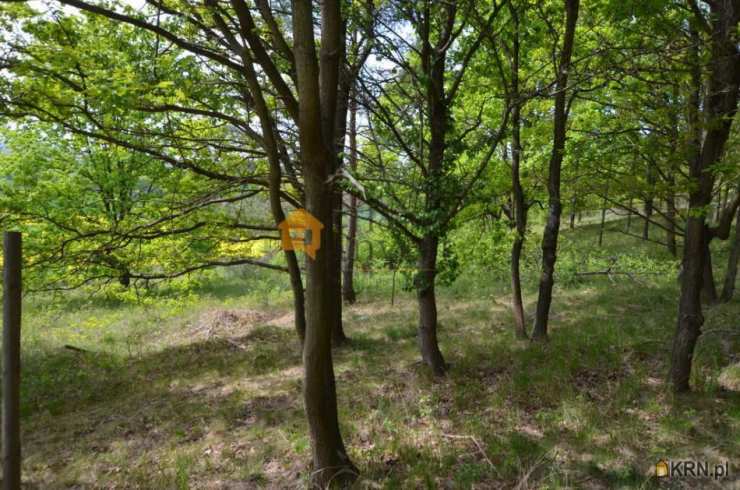 Działki  na sprzedaż, , Winnica, ul. 