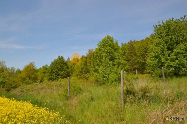 Działki  na sprzedaż, Winnica, ul. , 