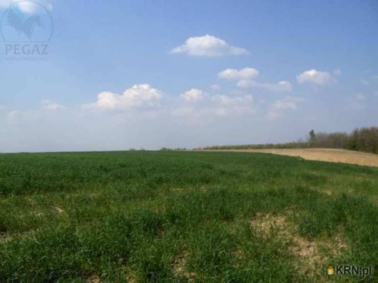 Nienawiszcz, ul. , Działki  na sprzedaż, 