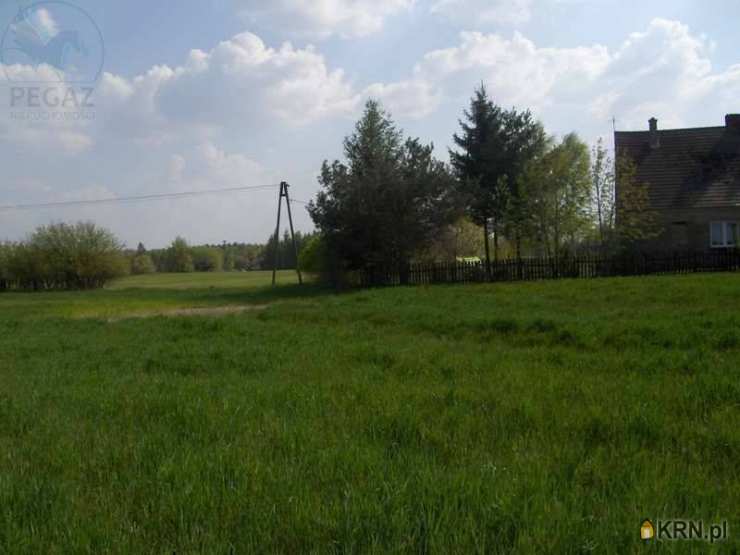 Pegaz Nieruchomości, Działki  na sprzedaż, Nienawiszcz, ul. 