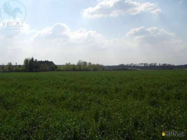 Działki  na sprzedaż, Nienawiszcz, ul. , 