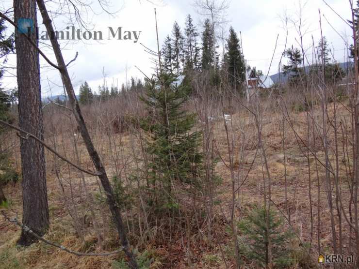 Kościelisko, ul. Nędzy Kubińca, Działki  na sprzedaż, 