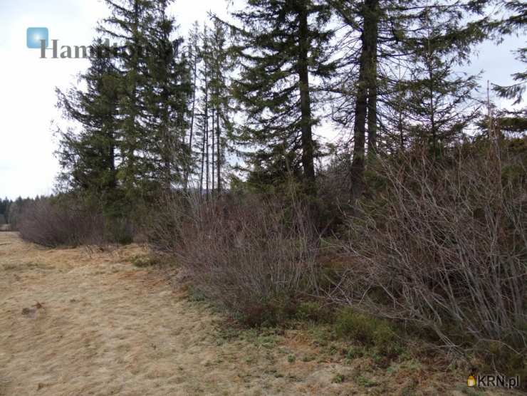 , Kościelisko, ul. Nędzy Kubińca, Działki  na sprzedaż