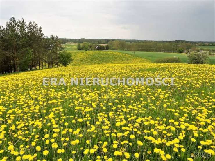 Działki  na sprzedaż, Koplany, ul. , 