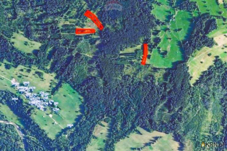 RE/MAX Polska, Działki  na sprzedaż, Dzianisz, ul. 