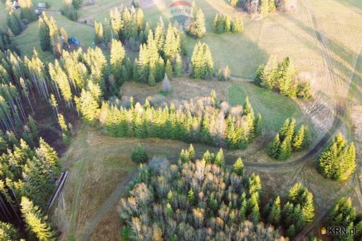 Działki  na sprzedaż, , Dzianisz, ul. 