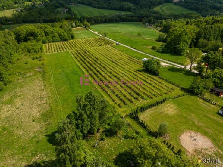 Stanisław Górny, ul. , , Działki  na sprzedaż