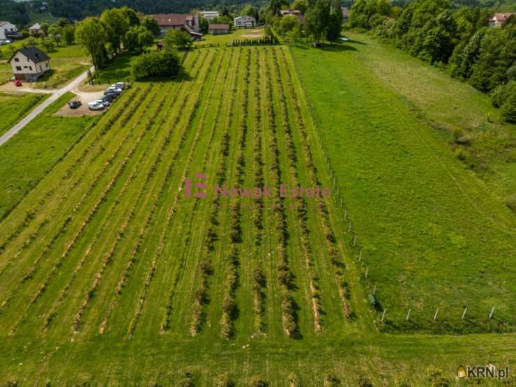 , Działki  na sprzedaż, Stanisław Górny, ul. 