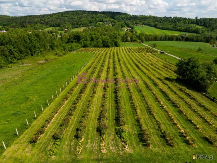 Nowak Estate, Działki  na sprzedaż, Stanisław Górny, ul. 