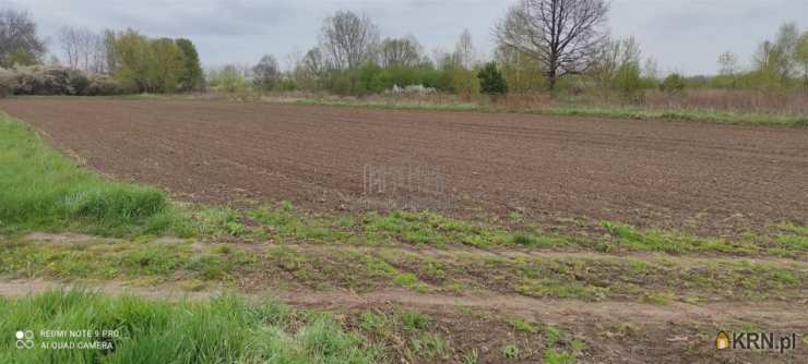 Działki  na sprzedaż, Bielawa, ul. Okrzewska, 