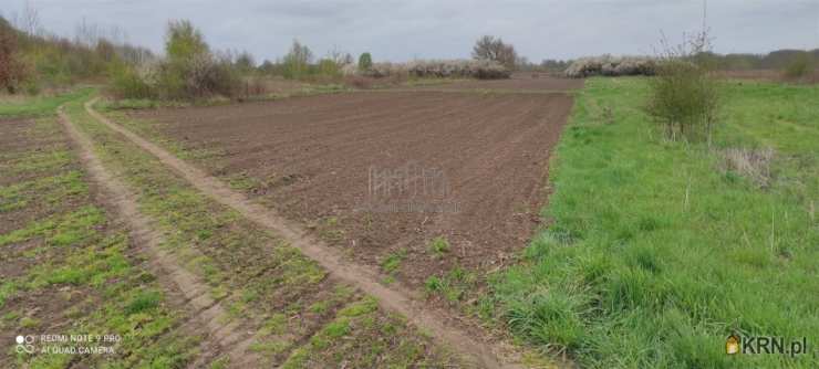 Działki  na sprzedaż, , Bielawa, ul. Okrzewska